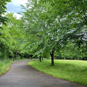 連休中の休業のお知らせ