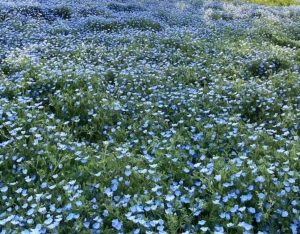 連休のお知らせ